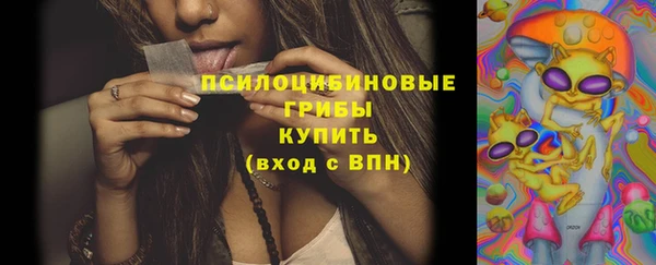 ешки Михайлов