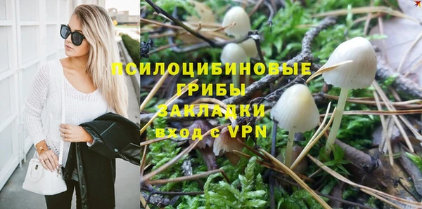 гашик Абинск