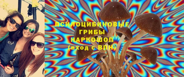 гашик Абинск