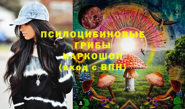 сатива Михайловск
