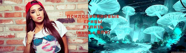 соль ск Абаза