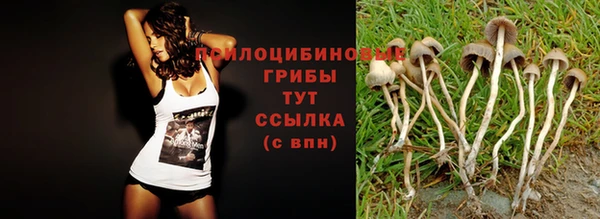 сатива Михайловск